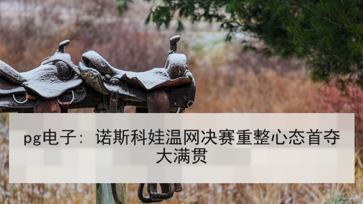 pg电子: 诺斯科娃温网决赛重整心态首夺大满贯