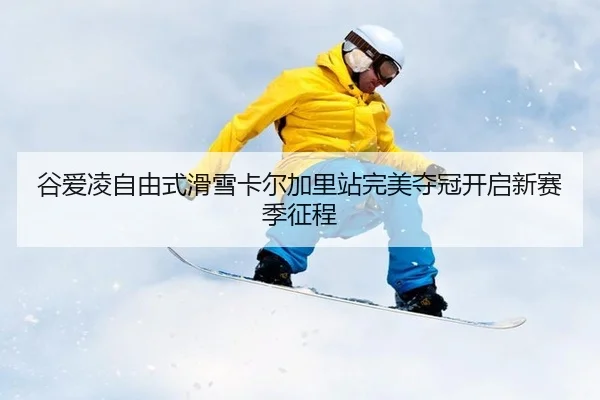 gu-ai-ling-zi-you-shi-hua-xue-ka-er-jia-li-zhan-wan-mei-duo-guan-kai-qi-xin-sai-ji-zheng-cheng-2-270.jpg