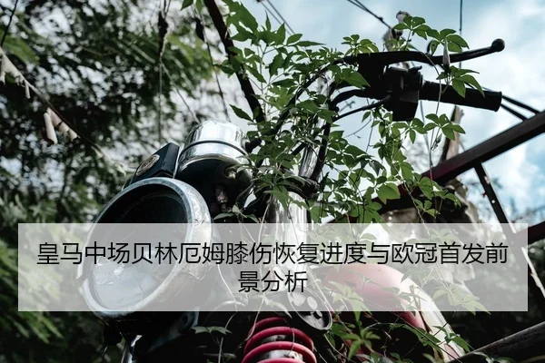 huang-ma-zhong-chang-bei-lin-e-mu-xi-shang-hui-fu-jin-du-yu-ou-guan-shou-fa-qian-jing-fen-xi-2-545.jpg