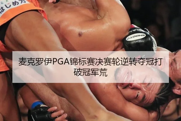 mai-ke-luo-yi-jin-biao-sai-jue-sai-lun-ni-zhuan-duo-guan-da-po-guan-jun-huang-3-615.jpg