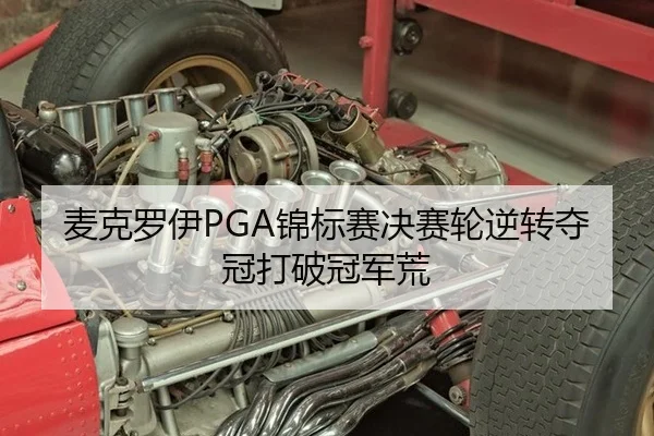 麦克罗伊PGA锦标赛决赛轮逆转夺冠打破冠军荒