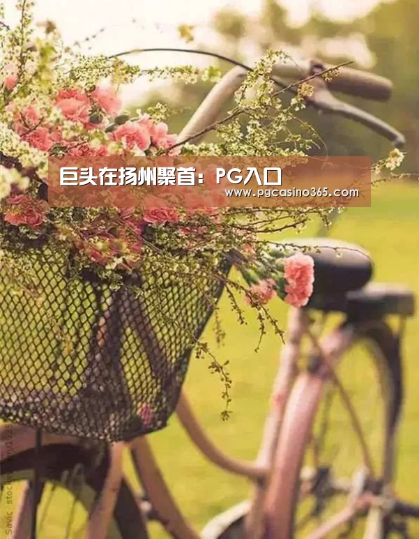 巨头在扬州聚首：PG入口