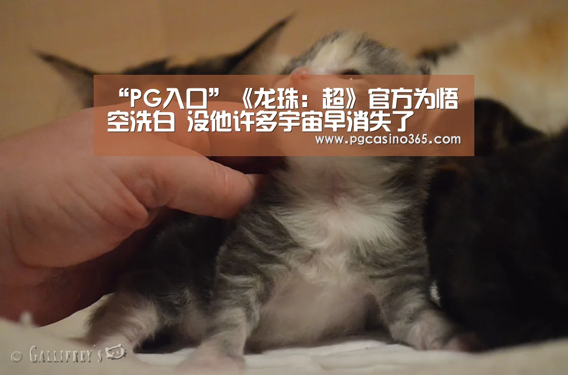 PG入口