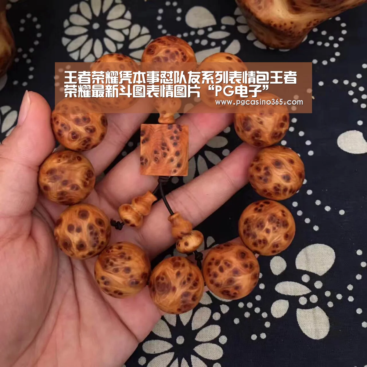 王者荣耀凭本事怼队友系列表情包王者荣耀最新斗图表情图片“PG电子”