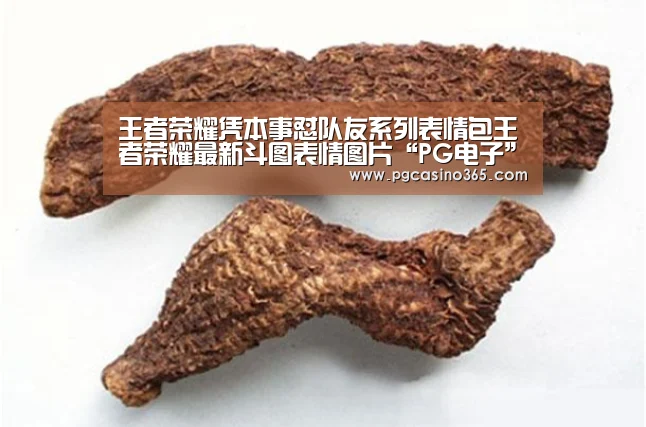 PG首页
