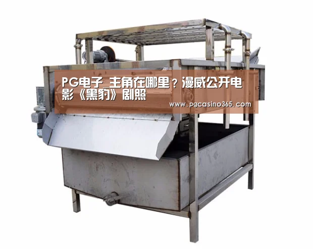 PG电子_主角在哪里？漫威公开电影《黑豹》剧照