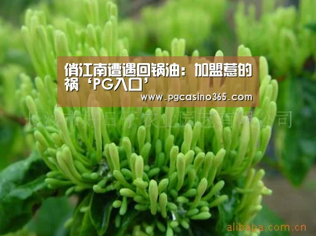 俏江南遭遇回锅油：加盟惹的祸‘PG入口’